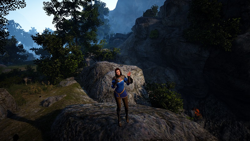 Black Desert Online - Lvl 18 Update