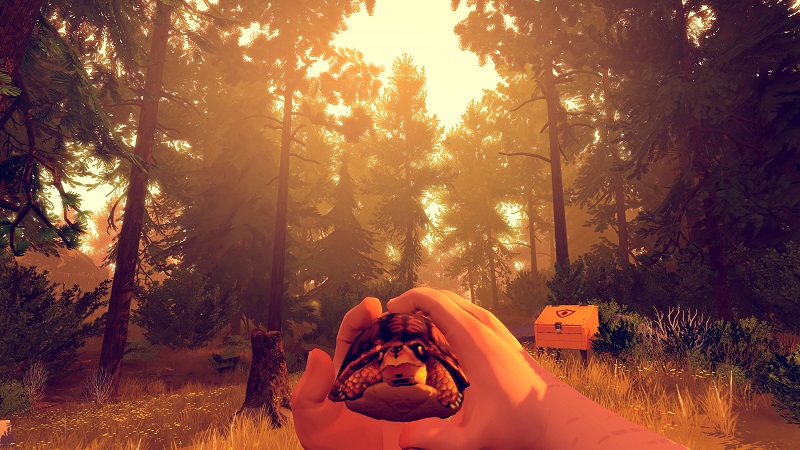 Alomora64 gaming reviews Firewatch turtle friend